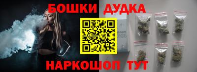 молекула духа Будённовск