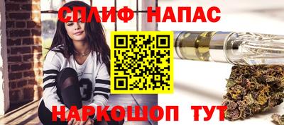 молекула духа Будённовск
