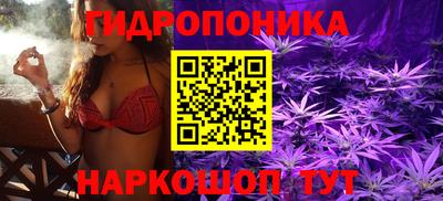 молекула духа Будённовск