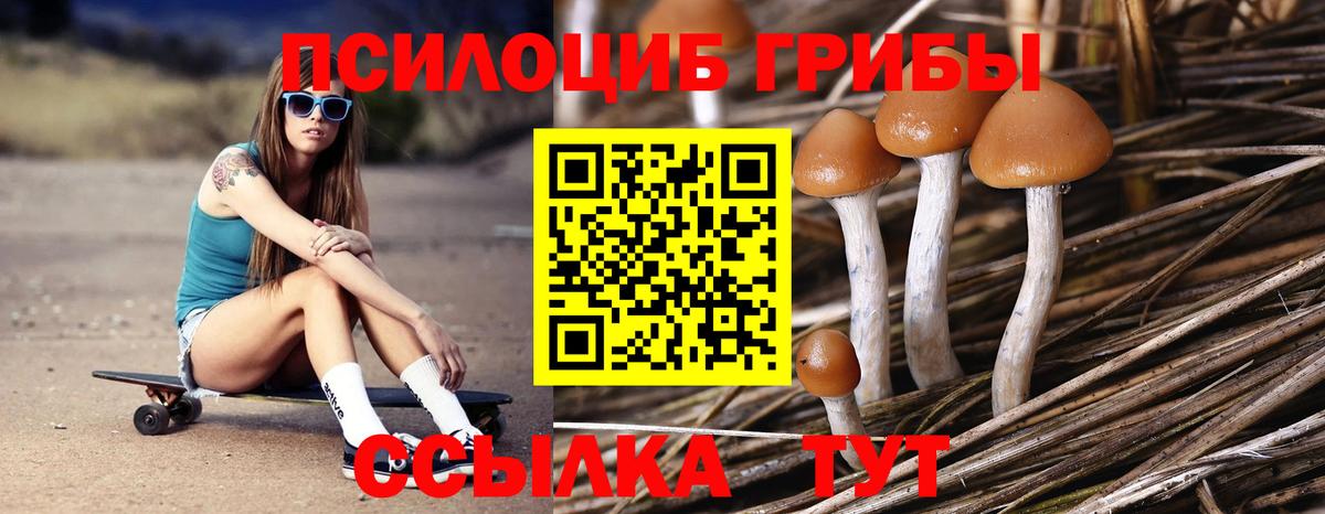 купить  цена  Галлюциногенные грибы мухоморы  Вход с VPN  Мурманск 
